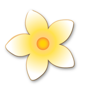 Plumeria flower
