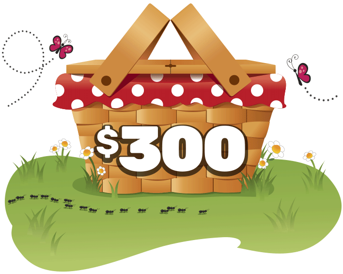 Illustration of a picnic basket with butterflies and ants representing one of five 300 dollar prizes
