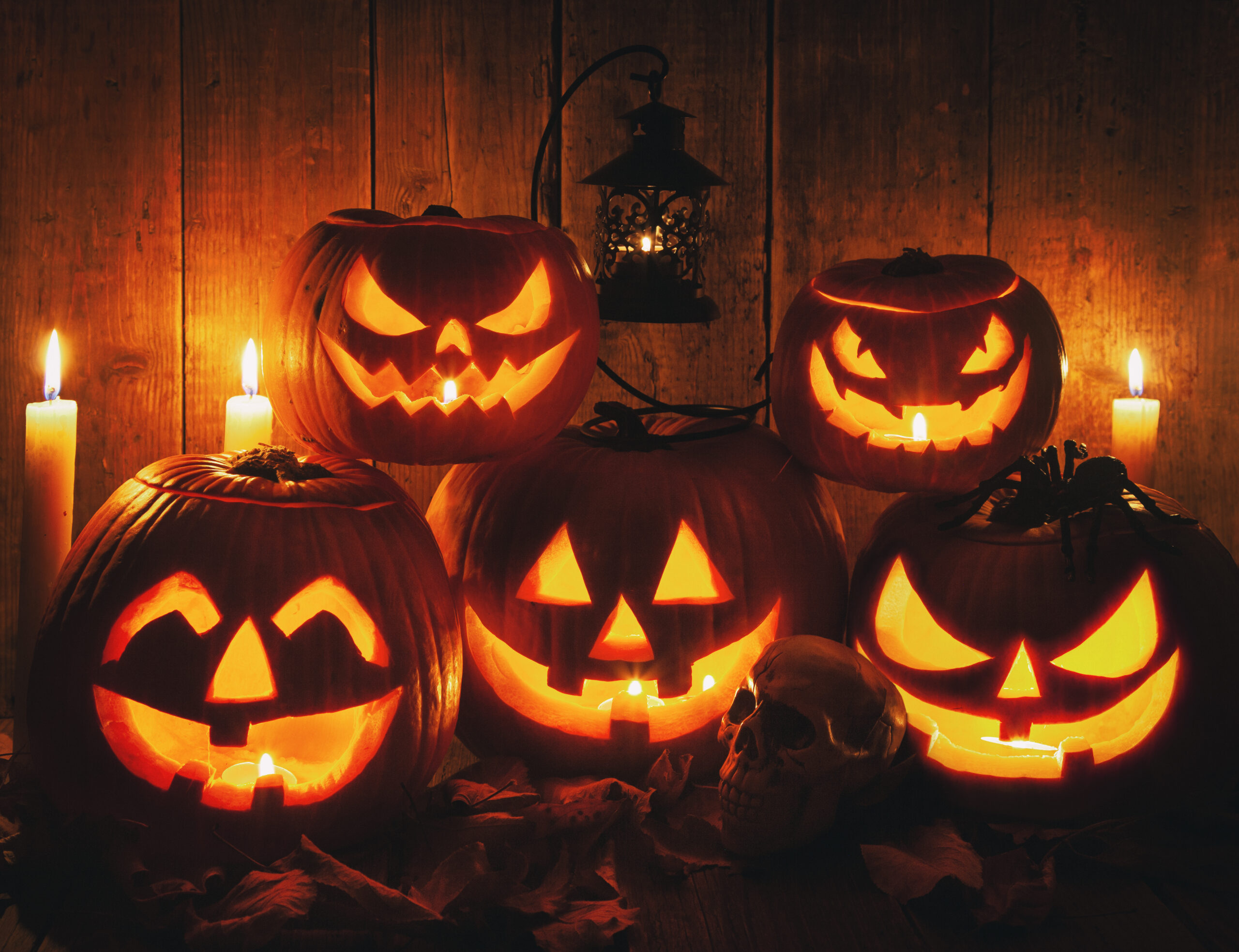 Image related with Celebrate Halloween On A Budget