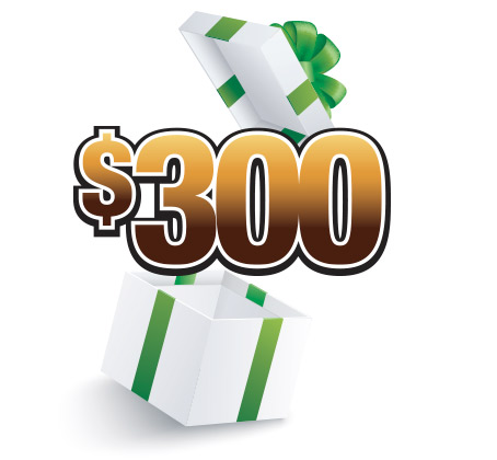 Graphic representing the $300 prize in our Dollar Days in December Giveaway