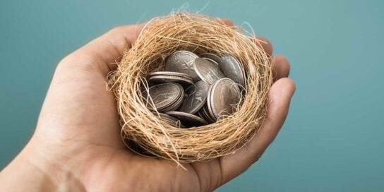 Spend Less Money Save More with Coins in a Bird Nest